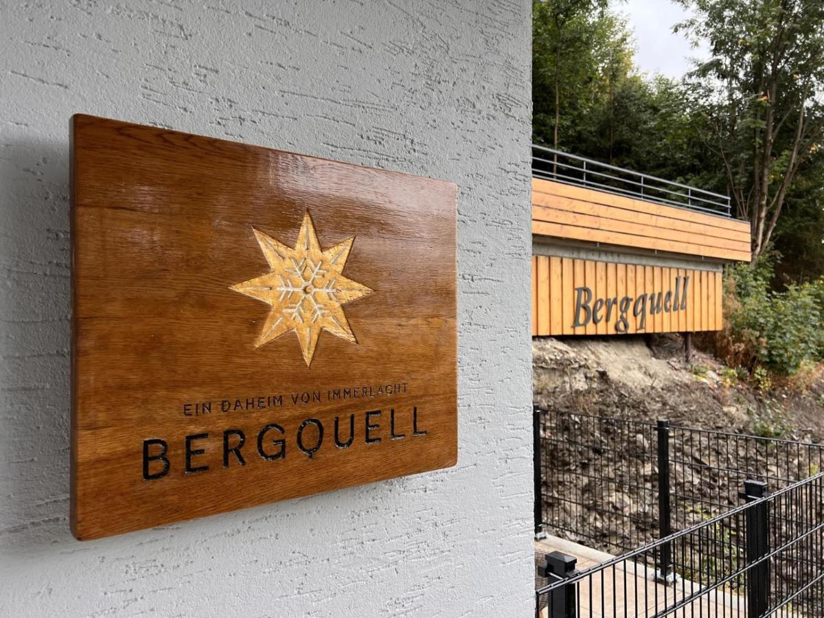 Apartament Haus Bergquell App 2 Willingen  Zewnętrze zdjęcie